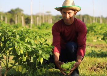Governador Wilson Lima anuncia edital com R$ 8,5 milhões para agricultura familiar
