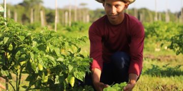Governador Wilson Lima anuncia edital com R$ 8,5 milhões para agricultura familiar