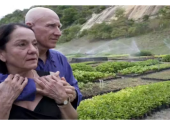 Casal brasileiro refloresta região inteira e vira exemplo para o mundo