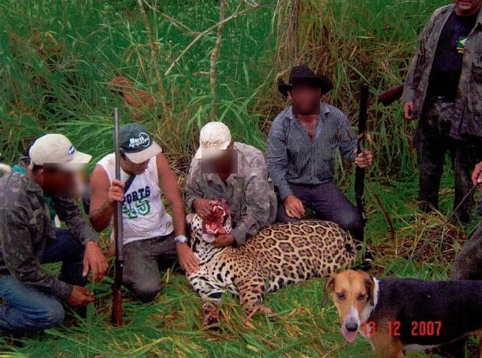 Dentista é condenado a pagar R$ 429 mil por caça ilegal de animais em extinção