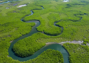 O rio Amazonas, o maior rio do mundo