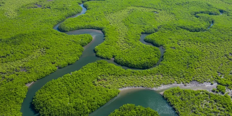 O rio Amazonas, o maior rio do mundo