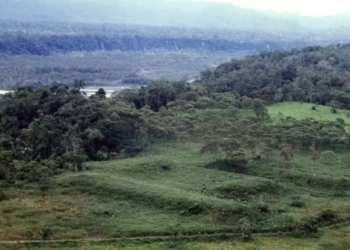 Cientistas descobrem rede de cidades pré-hispânicas na Amazônia