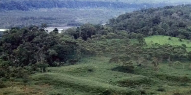 Cientistas descobrem rede de cidades pré-hispânicas na Amazônia