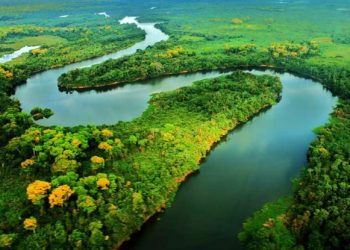 Diálogos Amazônicos: evento discute caminhos para o desenvolvimento sustentável da Amazônia
