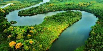 Diálogos Amazônicos: evento discute caminhos para o desenvolvimento sustentável da Amazônia