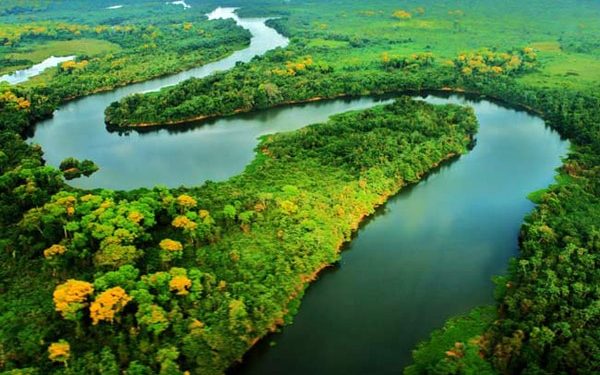 Diálogos Amazônicos: evento discute caminhos para o desenvolvimento sustentável da Amazônia