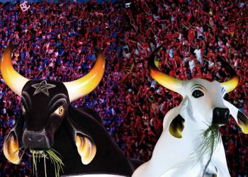 Fãs do Boi-Bumbá acampam em fila por ingressos do Festival de Parintins