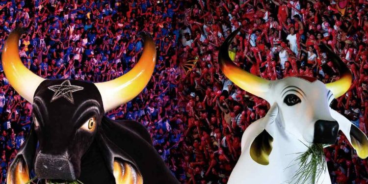 Fãs do Boi-Bumbá acampam em fila por ingressos do Festival de Parintins