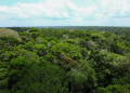 Em 2023, Governo do Amazonas captou mais de R$ 76 milhões para investir na gestão ambiental