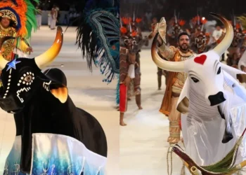 Bois Caprichoso e Garantido encantam Curitiba em apresentação histórica