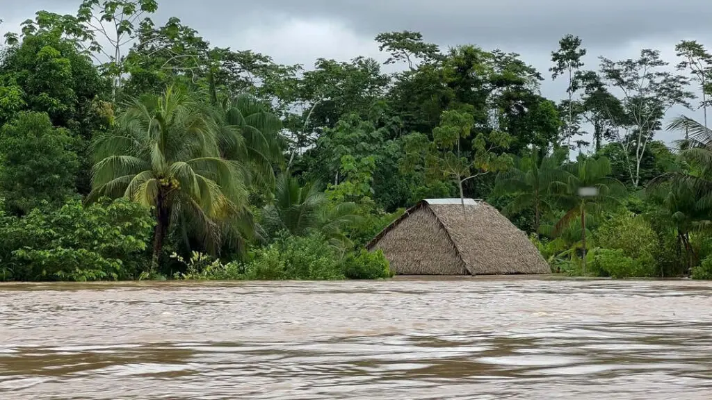 Cheia no Acre enchentes devastam 17 municípios e colocam milhares em situação crítica