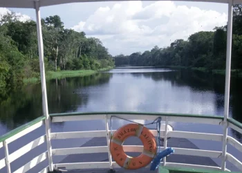 Expedição imerge na Amazônia para desvendar os segredos dos peixes-elétricos