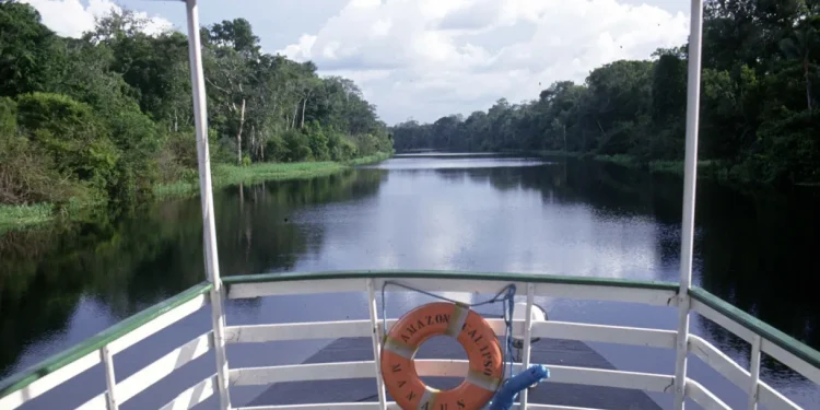 Expedição imerge na Amazônia para desvendar os segredos dos peixes-elétricos