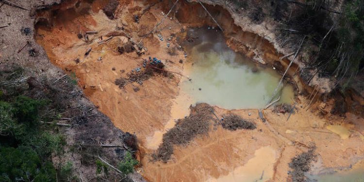 Garimpo ilegal na Amazônia: devastação equivalente a quatro campos de futebol por dia em 2023