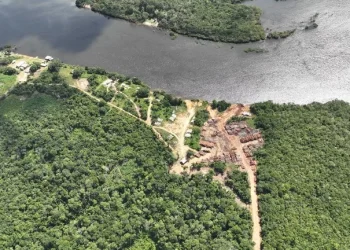 Operação Mamuru: combate à extração ilegal de madeira no Amazonas
