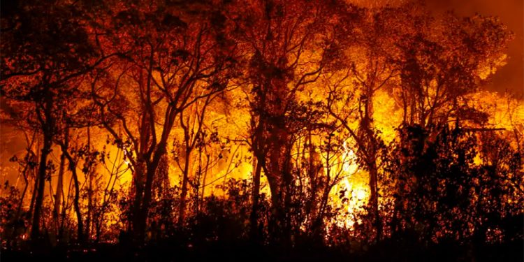 STF determina plano de combate a incêndios no Pantanal e na Amazônia