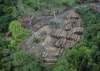 Amazônia: menor desmatamento em terras indígenas desde 2018