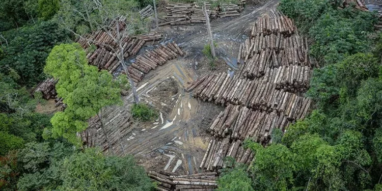 Amazônia: menor desmatamento em terras indígenas desde 2018