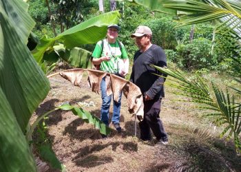Produtores rurais de Manaus recebem consultoria gratuita para aprimorar produção