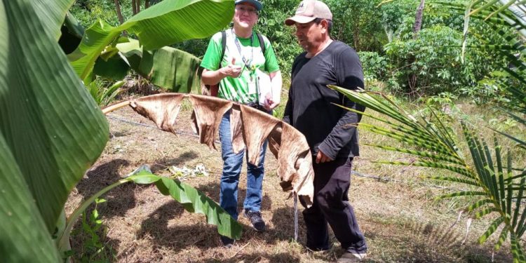 Produtores rurais de Manaus recebem consultoria gratuita para aprimorar produção