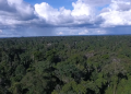 Banco da Amazônia registra lucro no primeiro trimestre, apesar de queda em relação a 2023