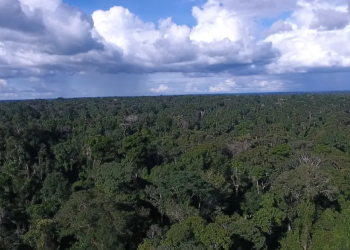 Banco da Amazônia registra lucro no primeiro trimestre, apesar de queda em relação a 2023
