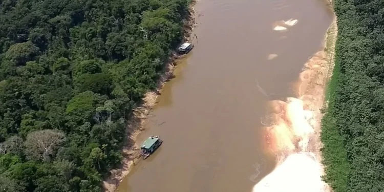 Cooperativa indígena pega em flagrante garimpando ouro ilegalmente no Amazonas