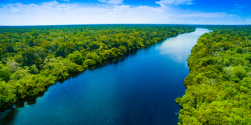 Noruega confirma depósito de US$ 50 milhões no Fundo Amazônia em junho