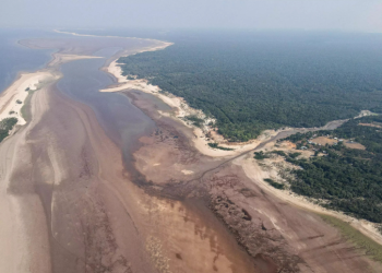 Seca no Amazonas em 2024: ameaça crescente e ações essenciais