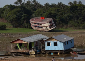A Amazônia sob a sombra da seca: Desvendando os impactos desiguais das mudanças climáticas