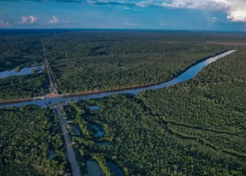 Brasil e vizinhos se unem pela "Rota Amazônica": ampliação do projeto ligará floresta a quatro portos do Pacífico