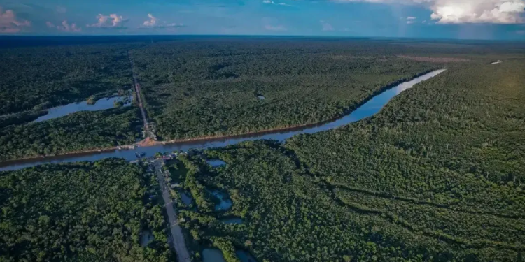 Brasil e vizinhos se unem pela "Rota Amazônica": ampliação do projeto ligará floresta a quatro portos do Pacífico