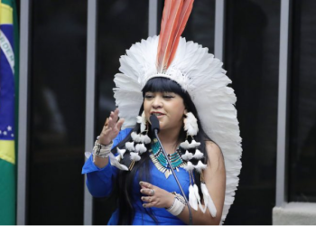 Direitos da natureza em foco: Comissão da Amazônia debate tema crucial