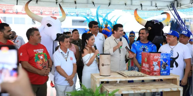 Festival de Parintins 2024: Definida a ordem de apresentação dos bois-bumbás Caprichoso e Garantido