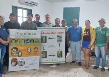 Adaf intensifica ações de educação sanitária sobre foco de monilíase, em Urucurituba