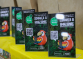 Amazonas To Go: Amazonastur lança ferramenta de informações turísticas em Novo Aripuanã