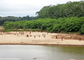 Imagens inéditas revelam maior tribo indígena isolada do mundo