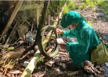 Saúde divulga informe epidemiológico de arboviroses no Amazonas