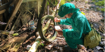 Saúde divulga informe epidemiológico de arboviroses no Amazonas