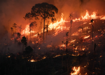A Crise das Queimadas no Brasil: Focos de Incêndio Aumentam 54%, Antecipando Período Crítico