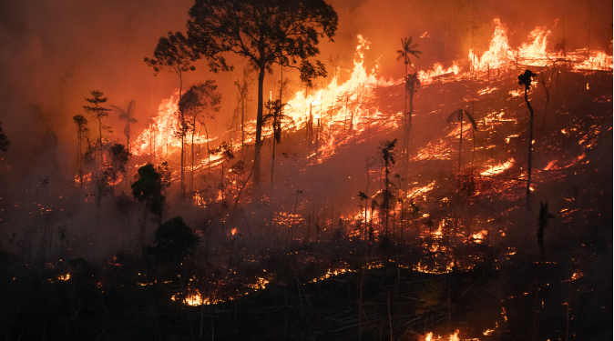 A Crise das Queimadas no Brasil: Focos de Incêndio Aumentam 54%, Antecipando Período Crítico