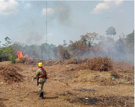 Nas últimas 24 horas, Corpo de Bombeiros combateu 70 focos de incêndio em Manicoré