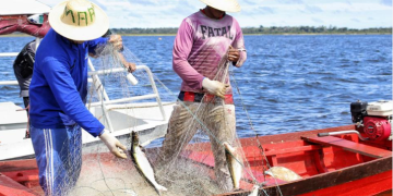 Fapeam recebe até 29 de julho propostas de pesquisadores ao Programa Jovem Cientista na Pesca Artesanal