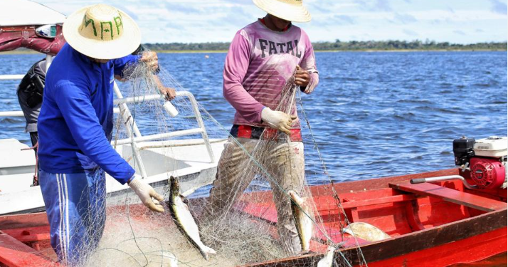 Fapeam recebe até 29 de julho propostas de pesquisadores ao Programa Jovem Cientista na Pesca Artesanal