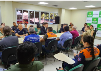 Comitê de Prevenção e Controle do Desmatamento e Queimadas apresenta ações de 2024 e alinha estratégias de combate