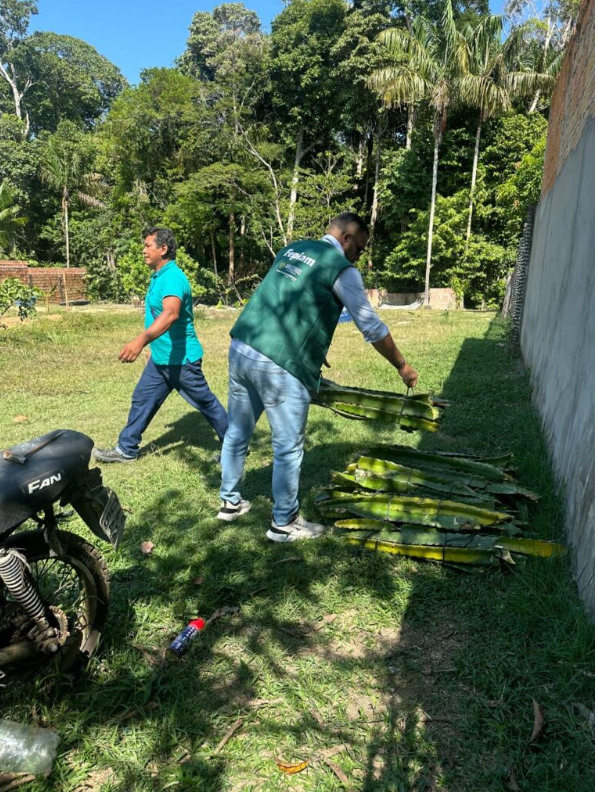 Fepiam incentiva agricultura indígena com entrega de mudas de pitaya