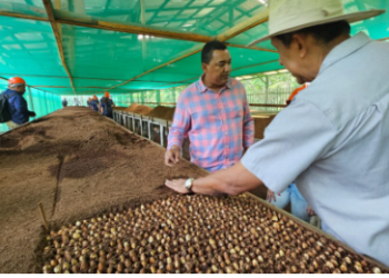 Idam abre inscrições para o ‘Dia de Campo da Castanha’