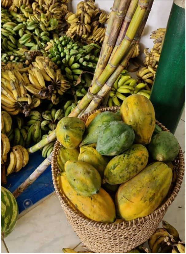 Idam inicia entregas do PAA Indígena, com a participação de 46 agricultores indígenas, em Eirunepé
