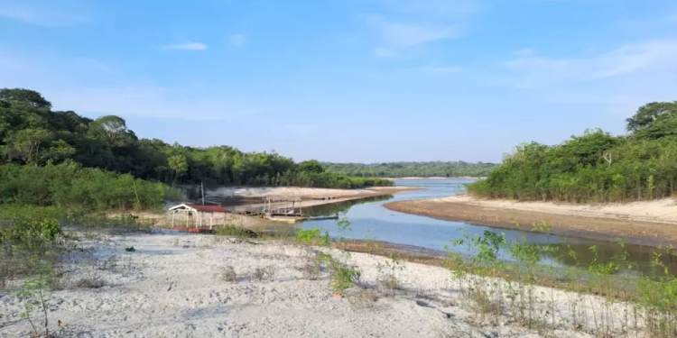 Museu do Seringal fecha para visitação em virtude da severa estiagem que afeta o Amazonas